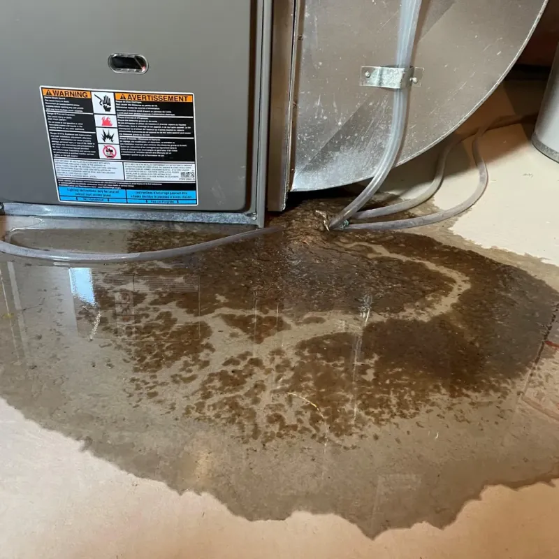 Appliance Leak Cleanup in Eglin Village, FL